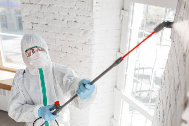 Best Residential Mold Inspection & Testing  in Mexico, MO